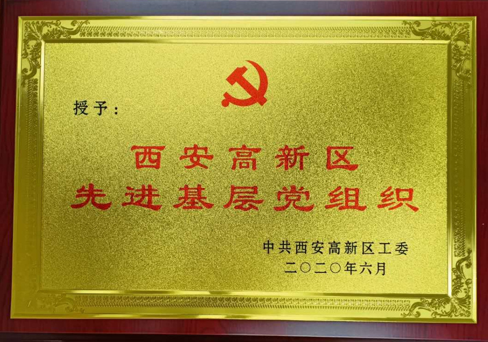 33 2020年6月中共西安高新區工委授予西安高新區先進基層黨組織.jpg